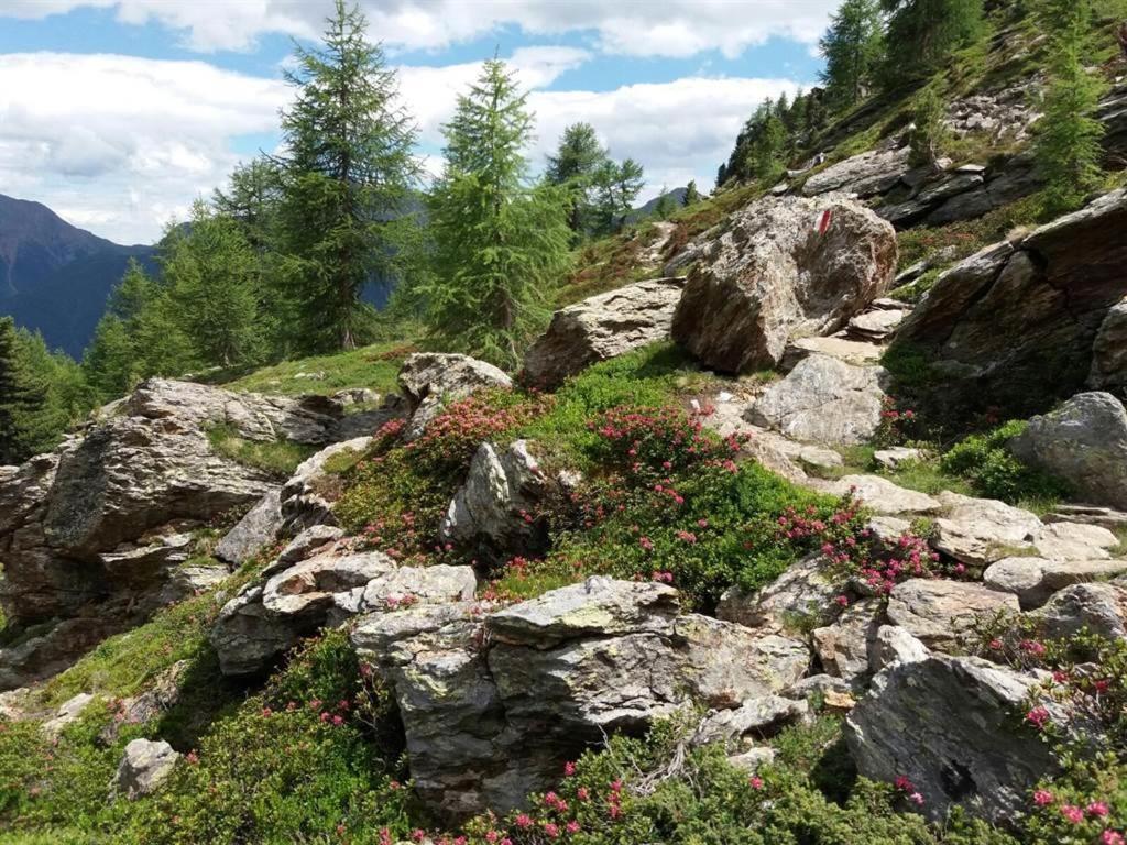 Rudigier Margret Und Franz Apartamento Sankt Gallenkirch Exterior foto